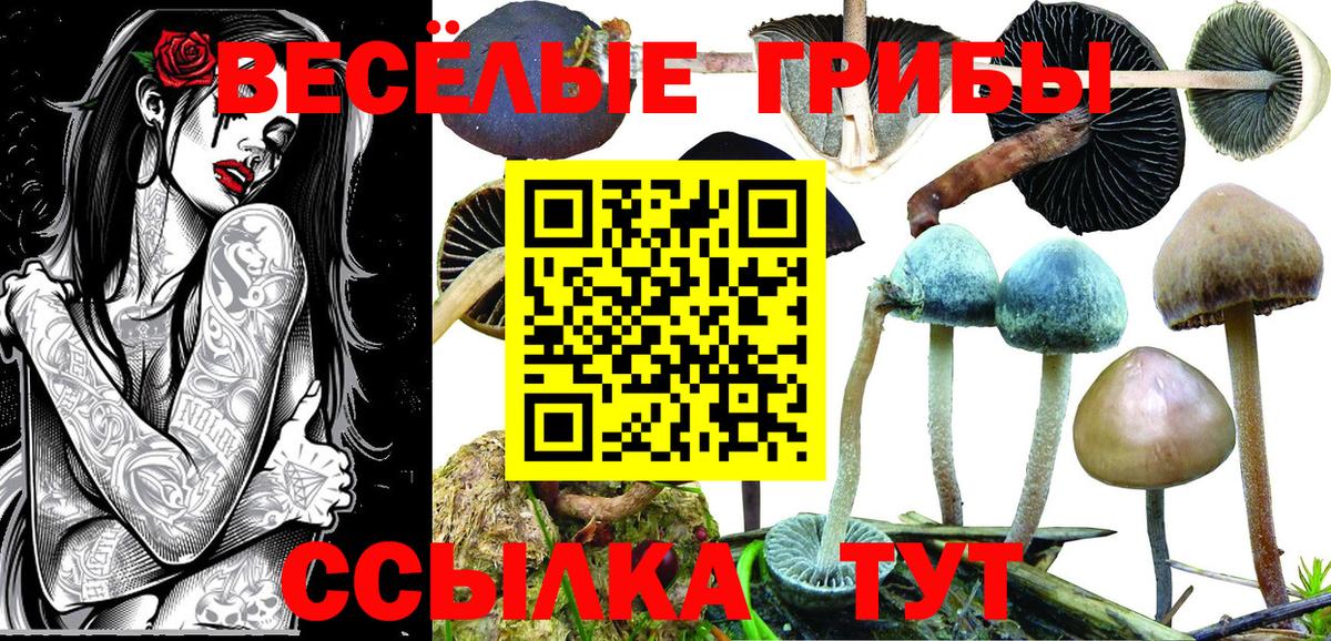 Псилоцибиновые грибы ЛСД  Вход с VPN  Псилоцибиновые грибы Psilocybine cubensis  Нягань 